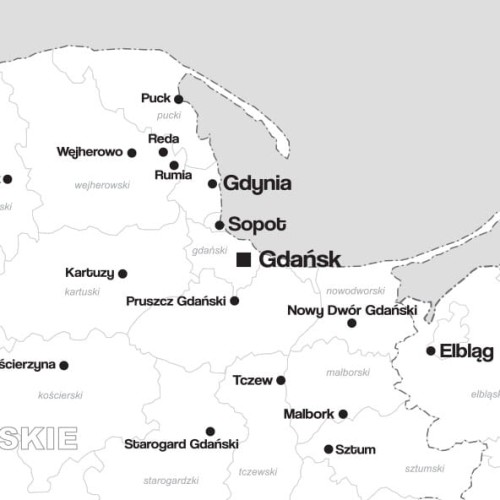 Mapa powiatów Polski – czytelne granice powiatów i miasta powiatowe (detal)