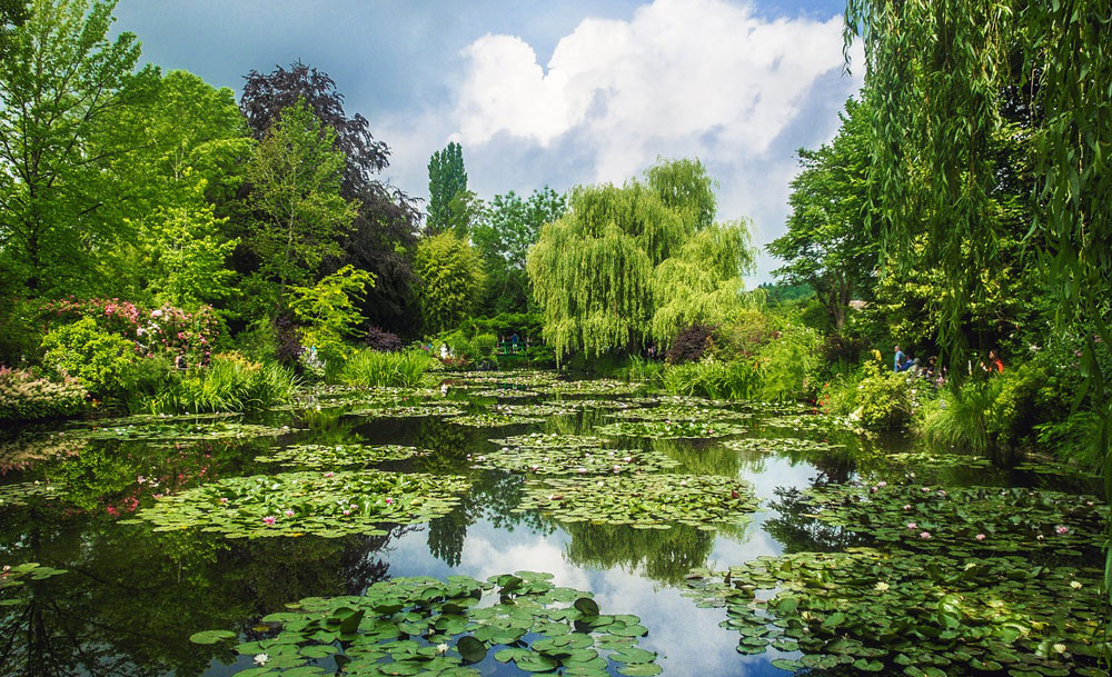 Giverny – ogród, do którego wchodzi się jak do obrazu