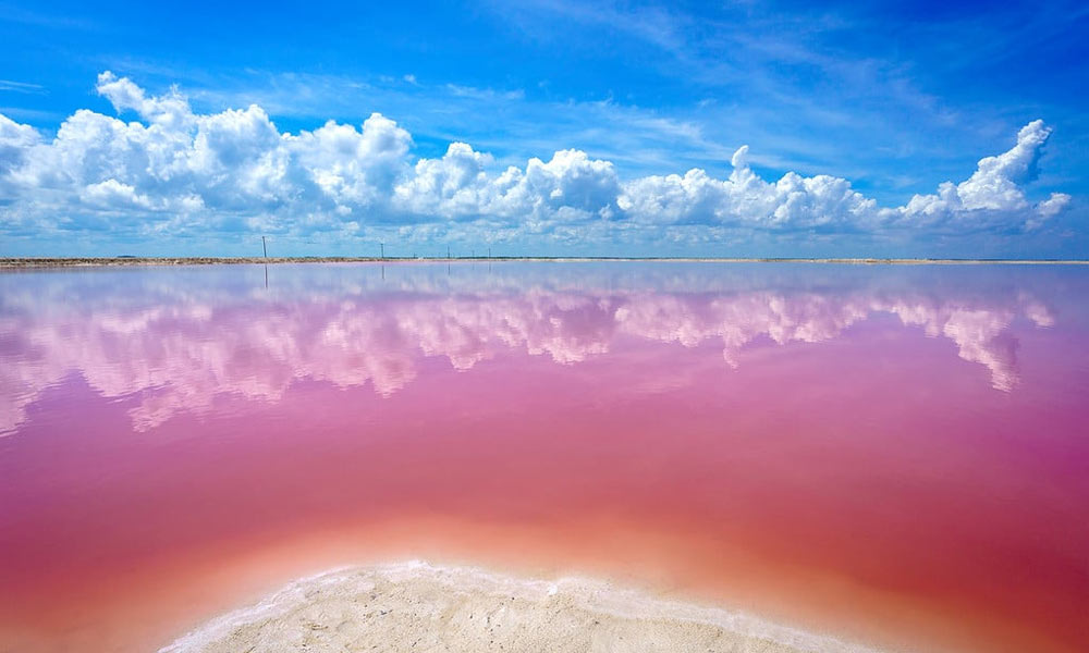 Las Coloradas, Meksyk