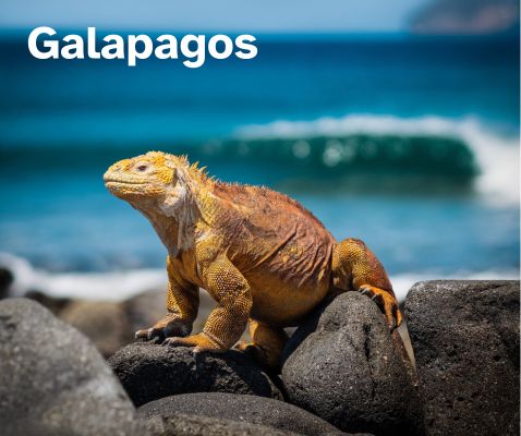 Wyspy Galapagos Mapa Swiata dla dzieci Twoje Mapy com